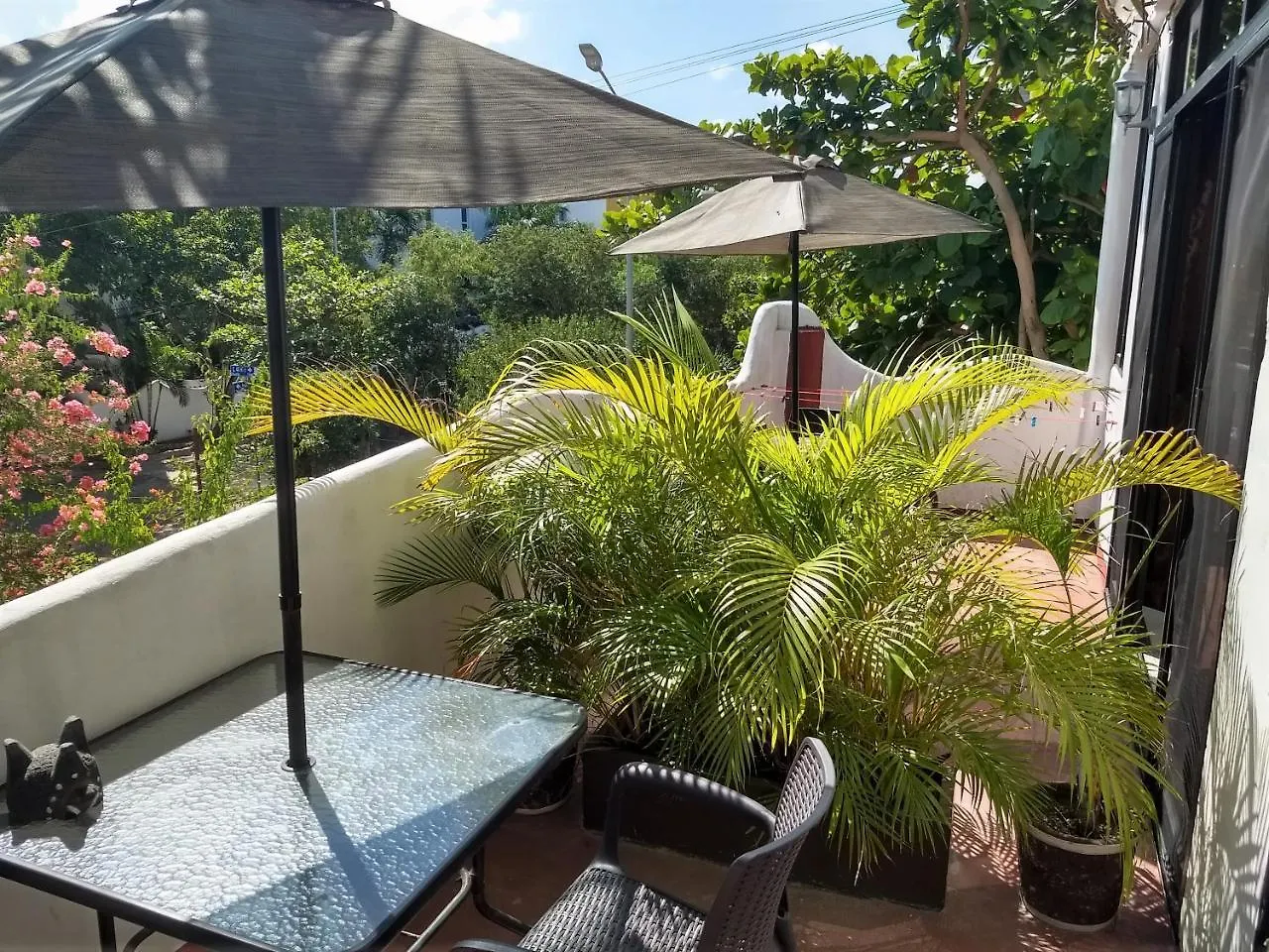 住宿加早餐酒店 B&B Tiburon 普拉亚卡门